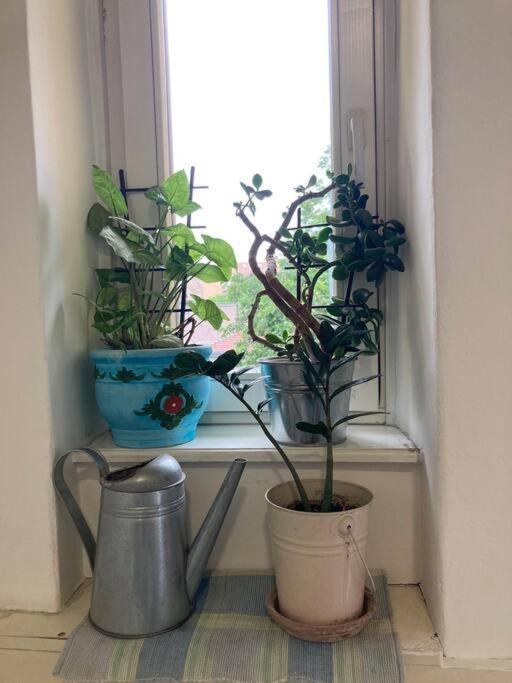 Oh Lola! Apartment Belgrad Exterior foto