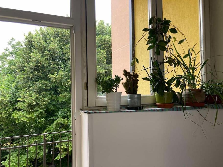 Oh Lola! Apartment Belgrad Exterior foto