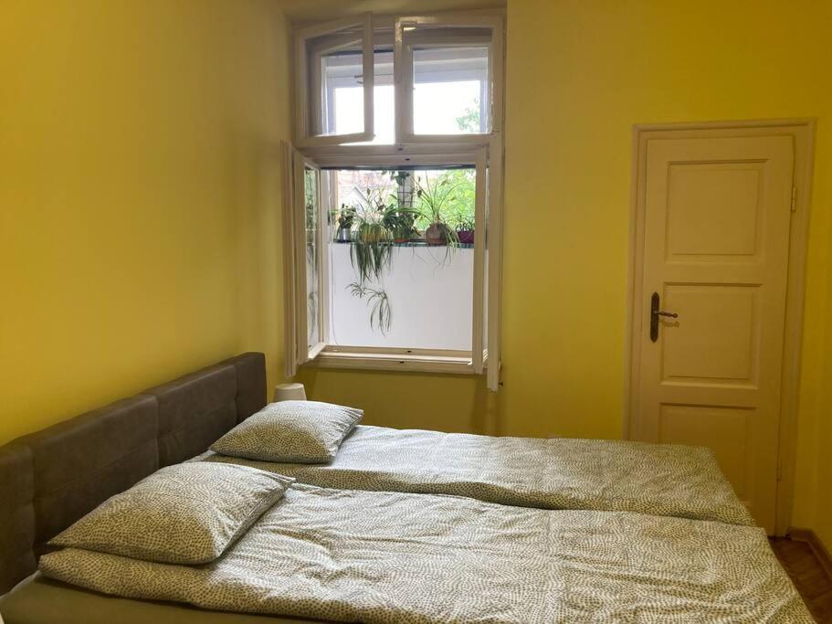 Oh Lola! Apartment Belgrad Exterior foto